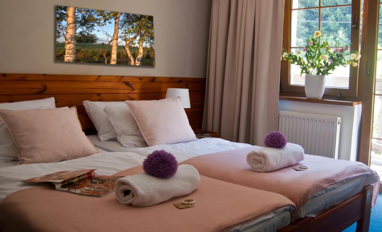 Hotel Gorski Czarna Gora Stronie Śląskie Exteriér fotografie