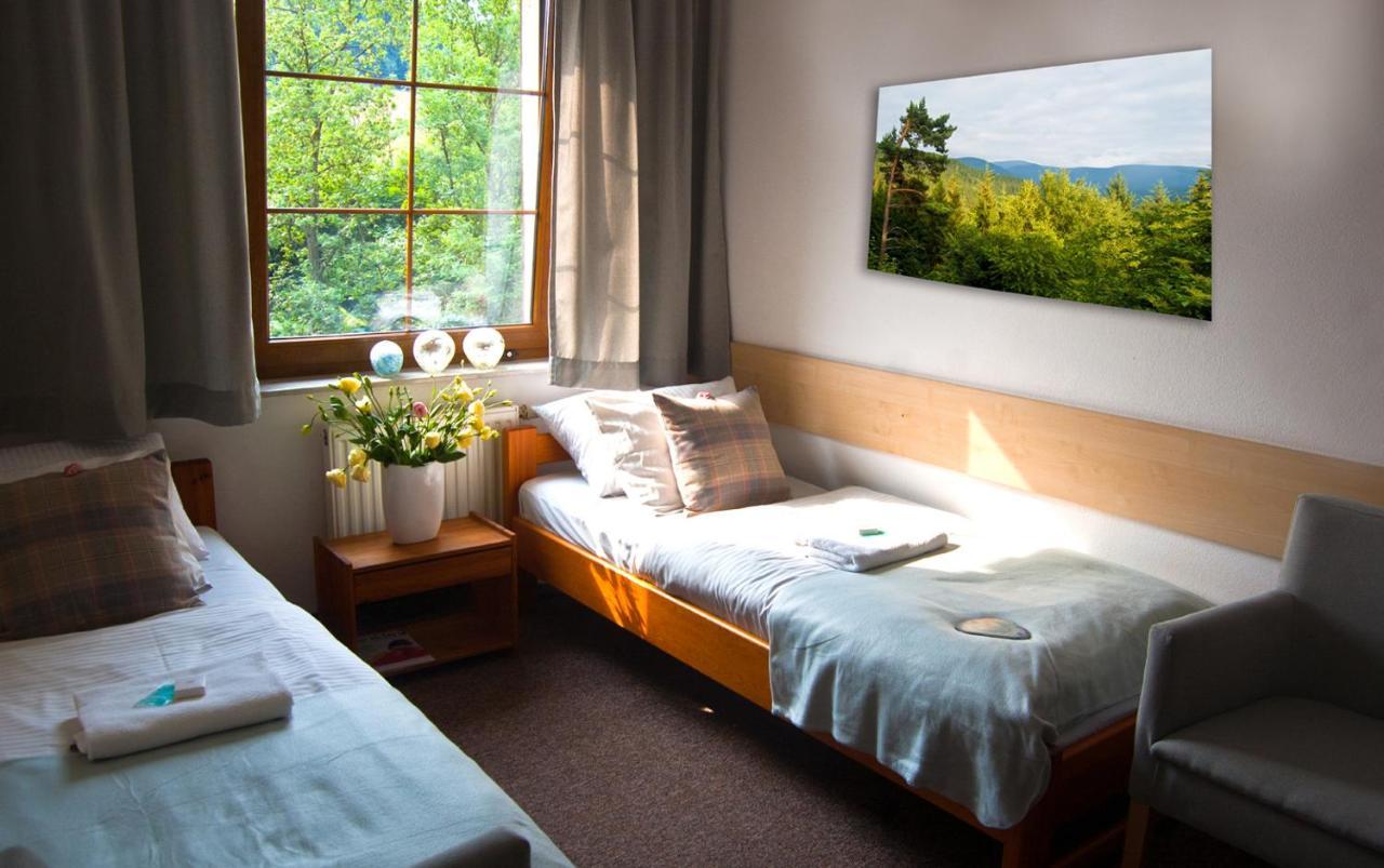 Hotel Gorski Czarna Gora Stronie Śląskie Exteriér fotografie