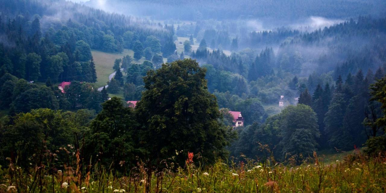 Hotel Gorski Czarna Gora Stronie Śląskie Exteriér fotografie