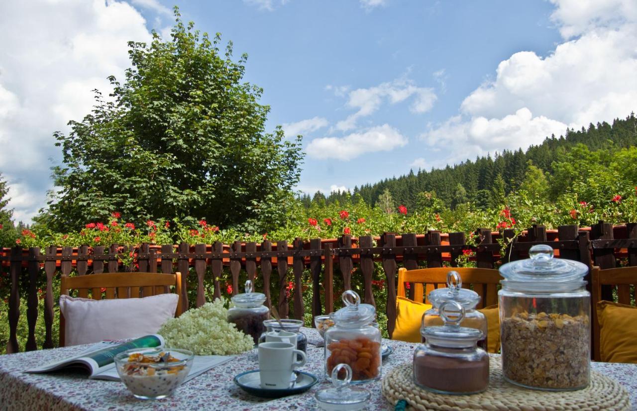 Hotel Gorski Czarna Gora Stronie Śląskie Exteriér fotografie
