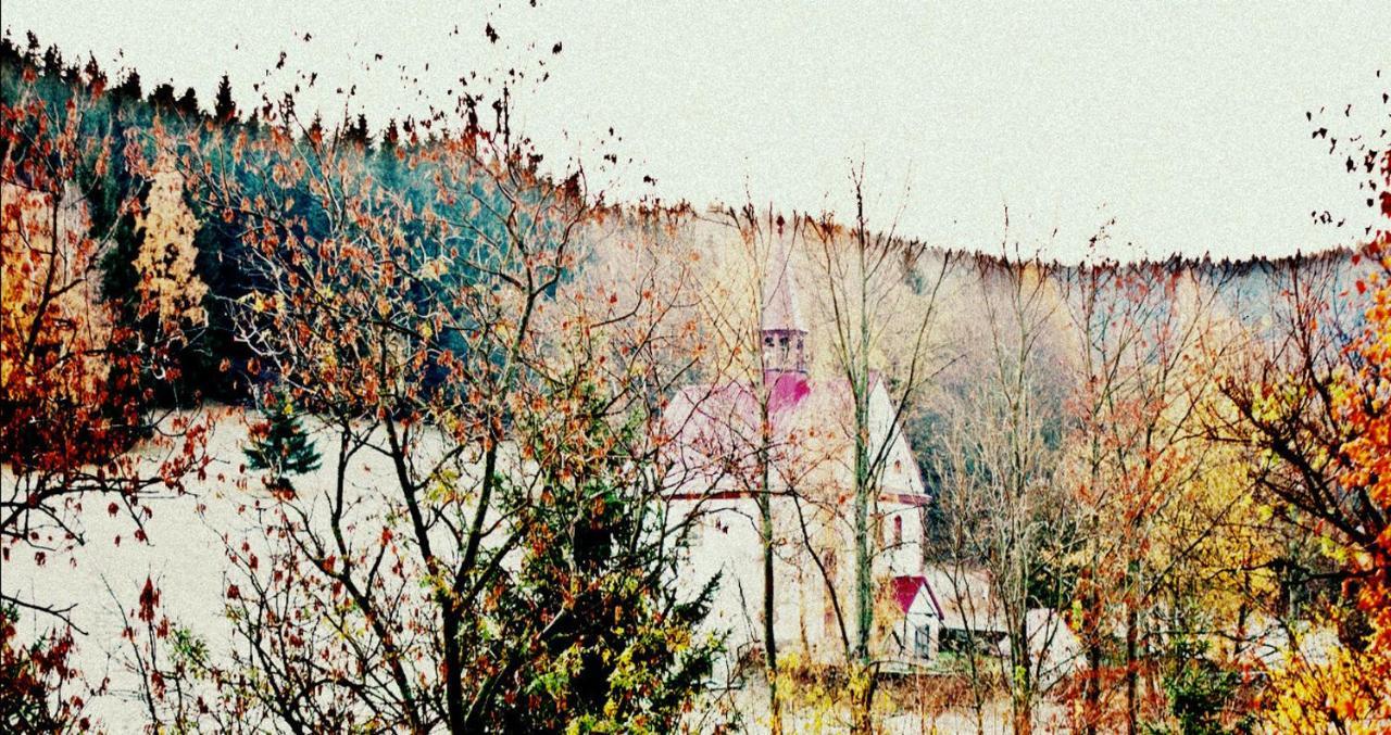Hotel Gorski Czarna Gora Stronie Śląskie Exteriér fotografie