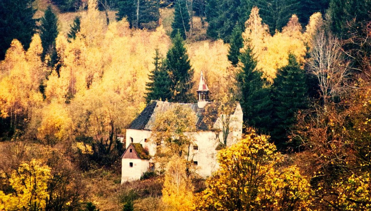 Hotel Gorski Czarna Gora Stronie Śląskie Exteriér fotografie